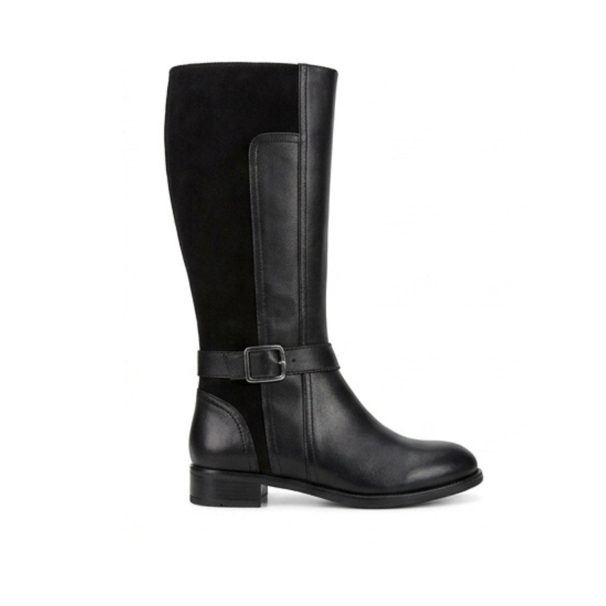 43002 KATANIA NEGRO