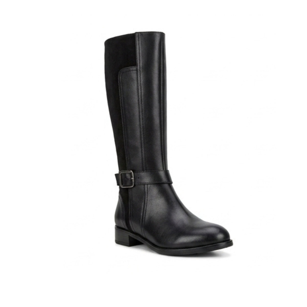 43002 KATANIA NEGRO