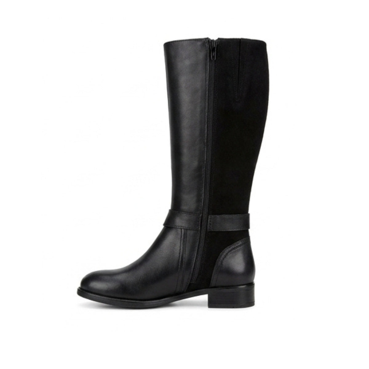 43002 KATANIA NEGRO