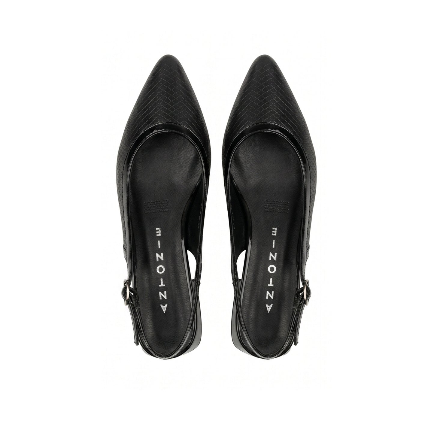 6036 Antonie Negro
