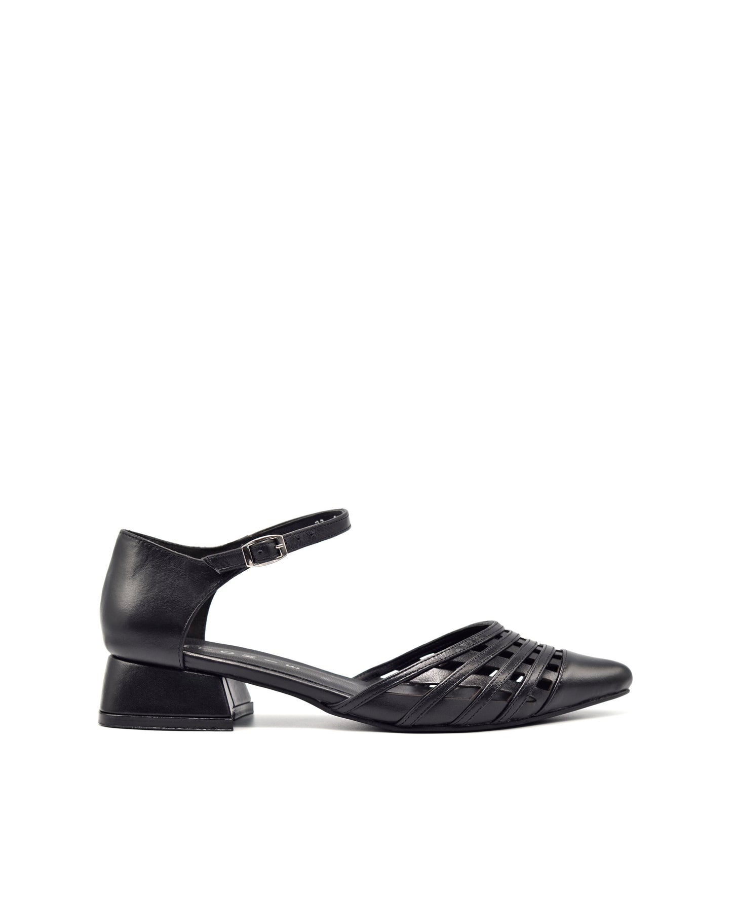 6048 Antonie Negro