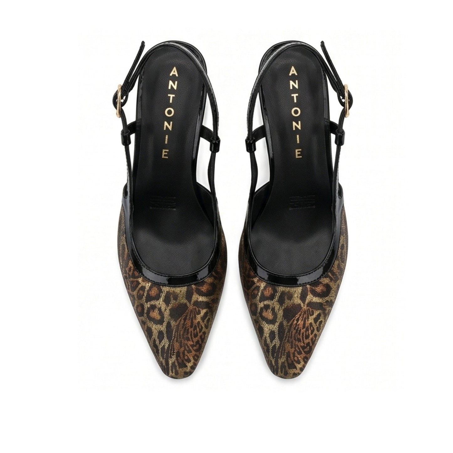9002 Antonie Leopardo